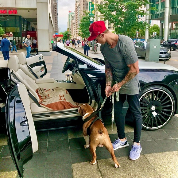 Stone - Picture 1 of 1